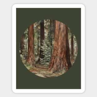 Redwood forest tree art Magnet